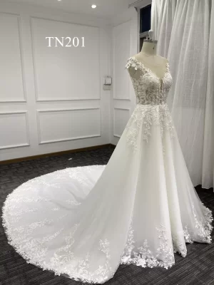 Stunning Lace Sparkling Tulle A Line Dress TN201